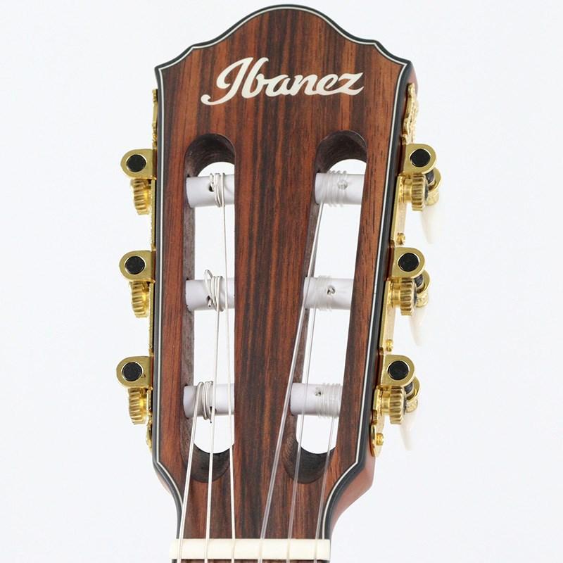Ibanez（アイバニーズ） Ibanez FRH10N-BSF (Brown Sunburst Flat