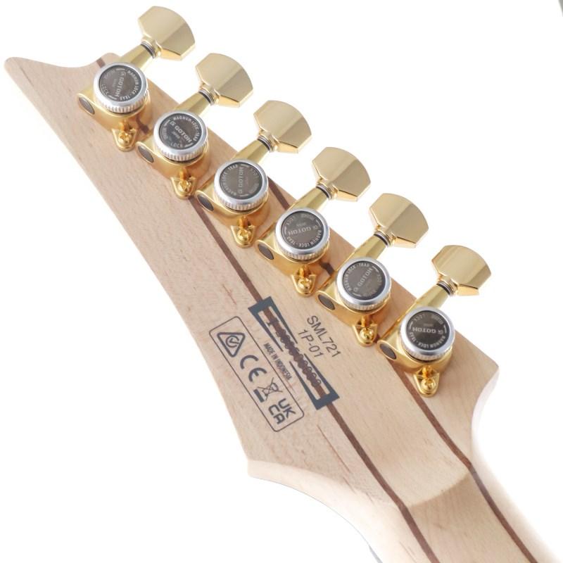 Ibanez Axe Design Lab SML721-RGCの画像