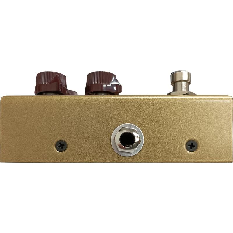 J. Rockett Audio Designs 【生産完了モデル】 Archer Select : イケベ