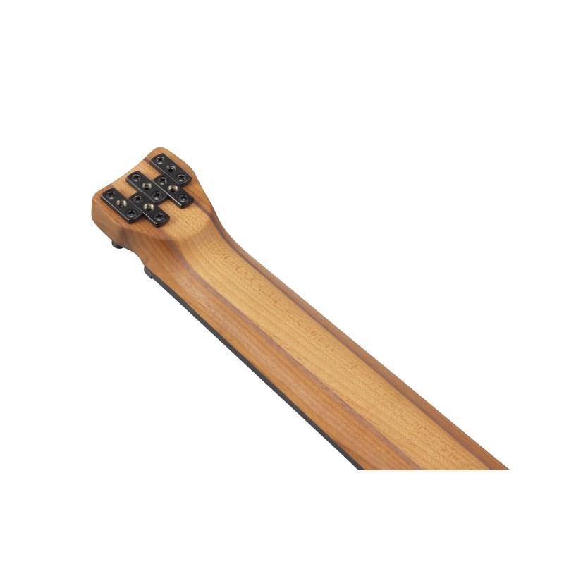 Ibanez（アイバニーズ） Ibanez Bass Workshop EHB1005F-AOM [SPOT