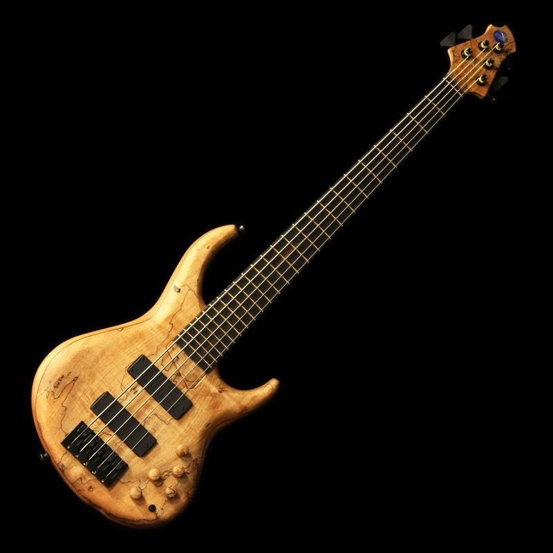 MTD 535-24 (Spalted Maple Top / Alder Back) 【NAMM 2023 Model 