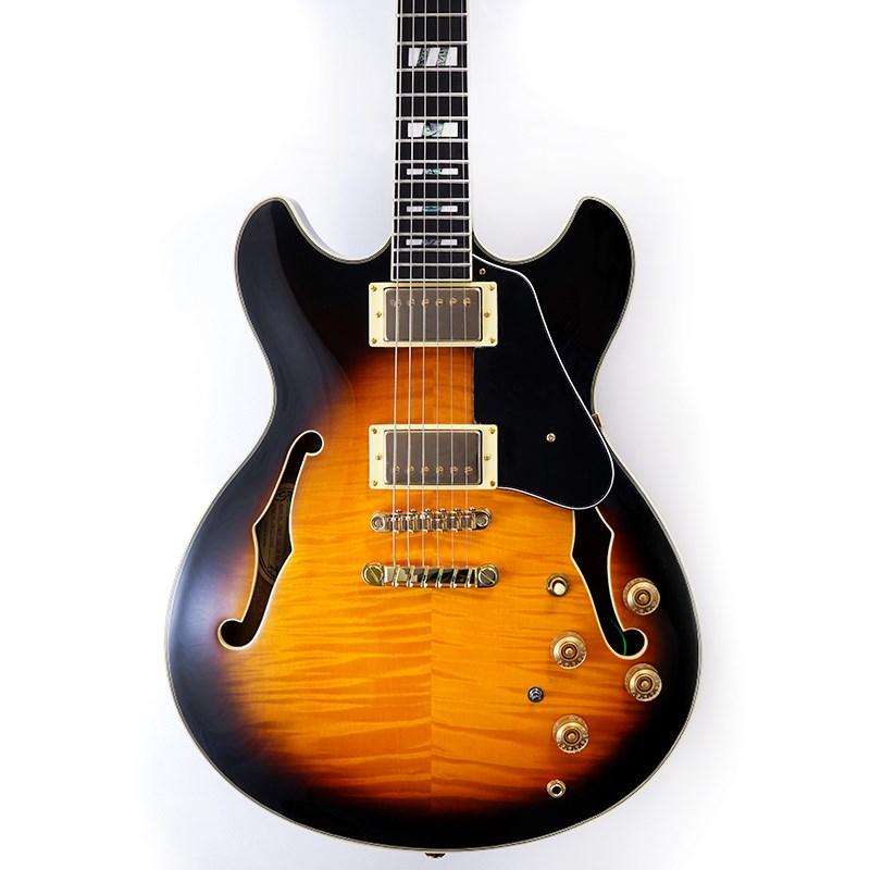 Ibanez（アイバニーズ） Ibanez JSM10-VYS [John Scofield Model
