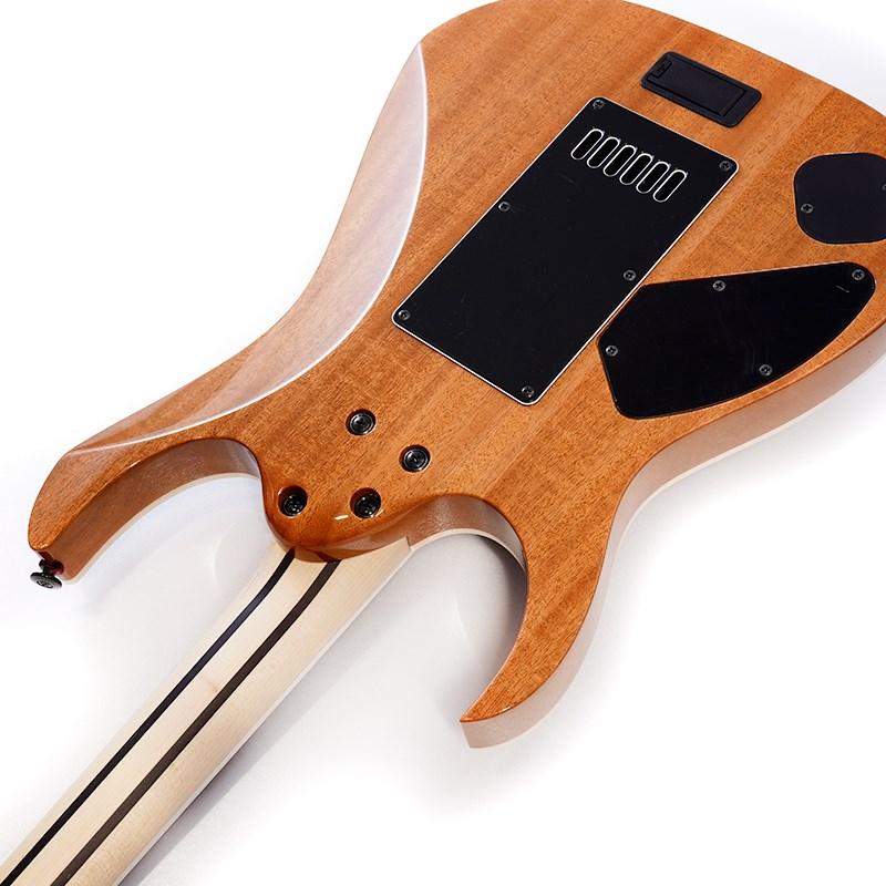 Ibanez（アイバニーズ） Ibanez Prestige Axe Design Lab RG5121ET-PRT