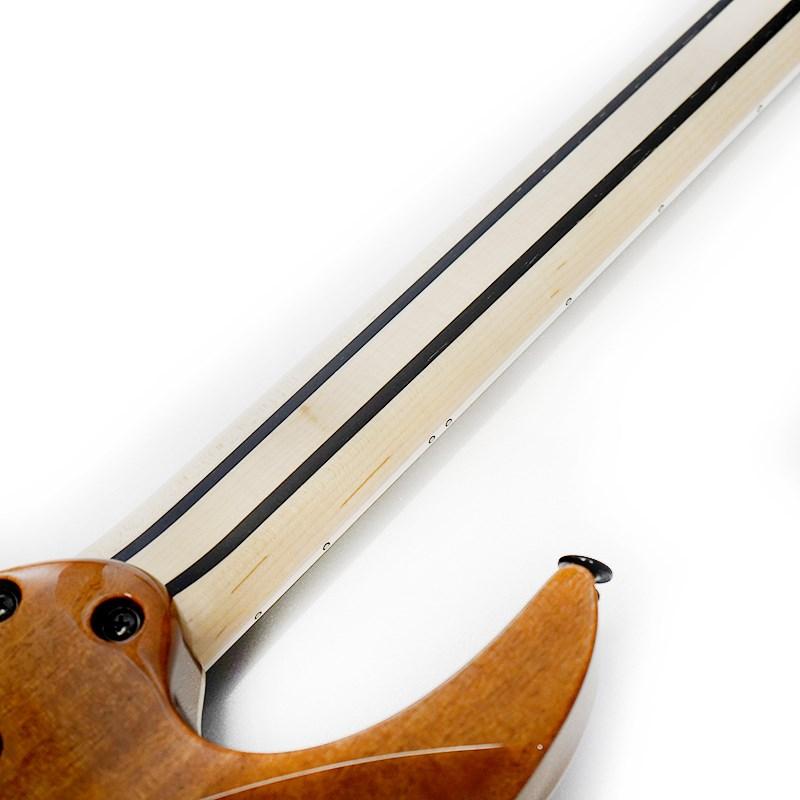 Ibanez（アイバニーズ） Ibanez Prestige Axe Design Lab RG5121ET-PRT