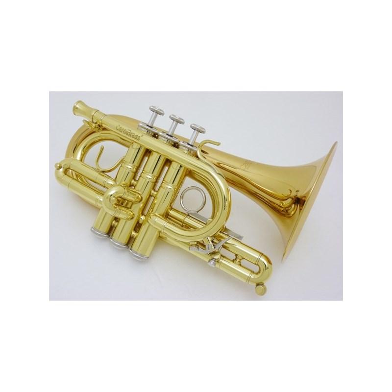 CAROL BRASS キャロルブラス / N4000 GB 【C ポケット トランペット