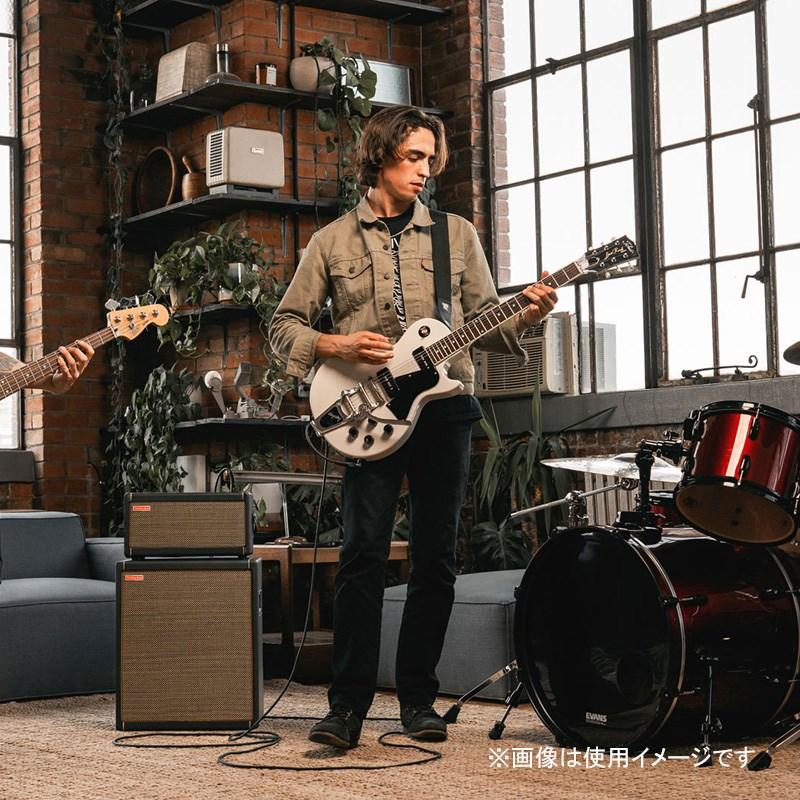 Positive Grid Spark CAB [140Wパワード・キャビネット]（ポジティブ ポジティヴ グリッド） |  | 07