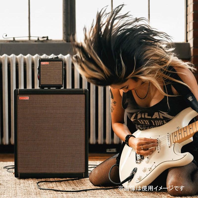 Positive Grid Spark CAB [140Wパワード・キャビネット]（ポジティブ ポジティヴ グリッド） |  | 08