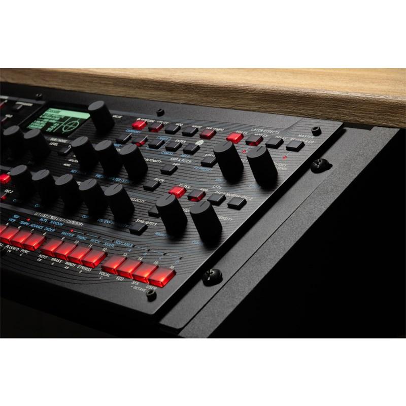 KORG modwave module 【公式通販】