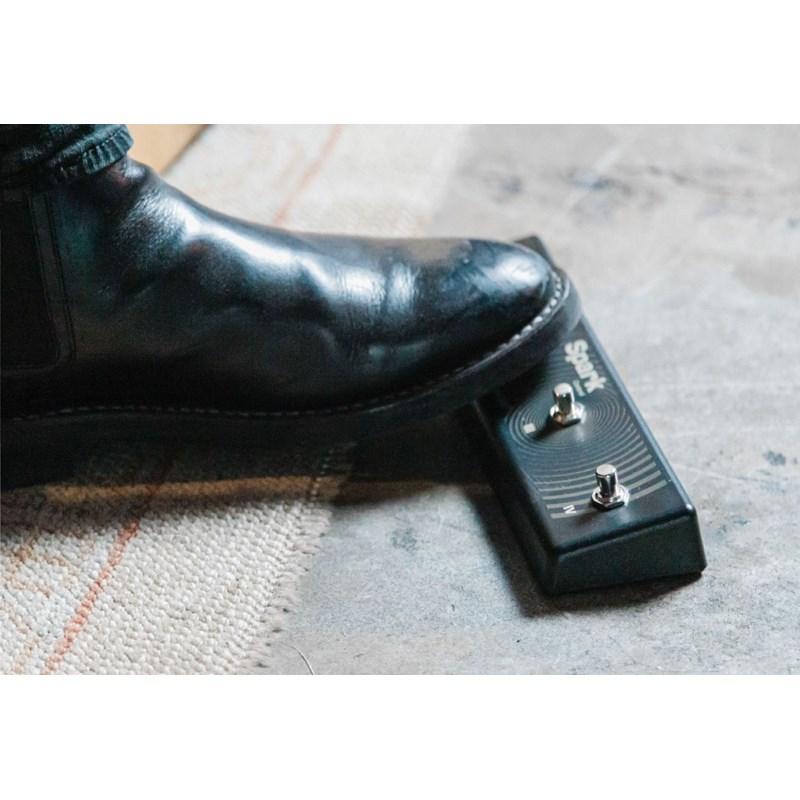 Positive Grid Spark Control（ポジティブ ポジティヴ グリッド） |  | 04