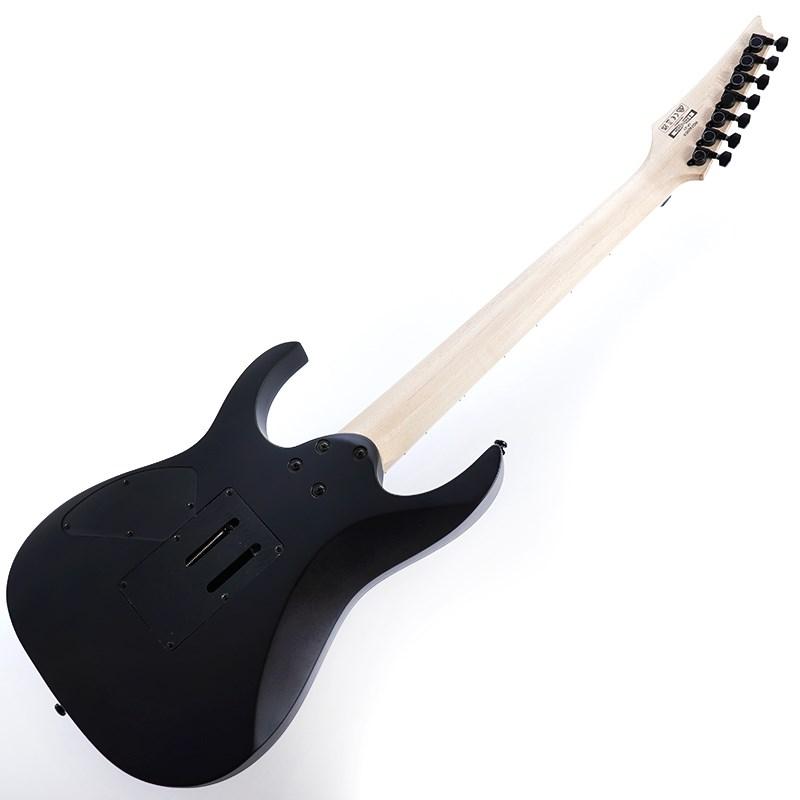 シェクター　イケベオリジナルモデル SCHECTER 新品 商品一覧｜イケベ楽器店オンラインストア
