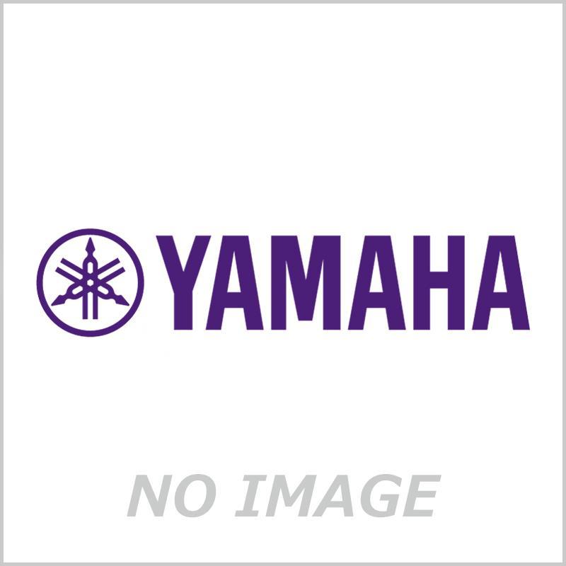 YAMAHA ヤマハ / アラン・トゥルーデルモデル TRUDEL-GP 太管 トロンボーン用 マウスピース (ラージシャンク) | YAMAHA