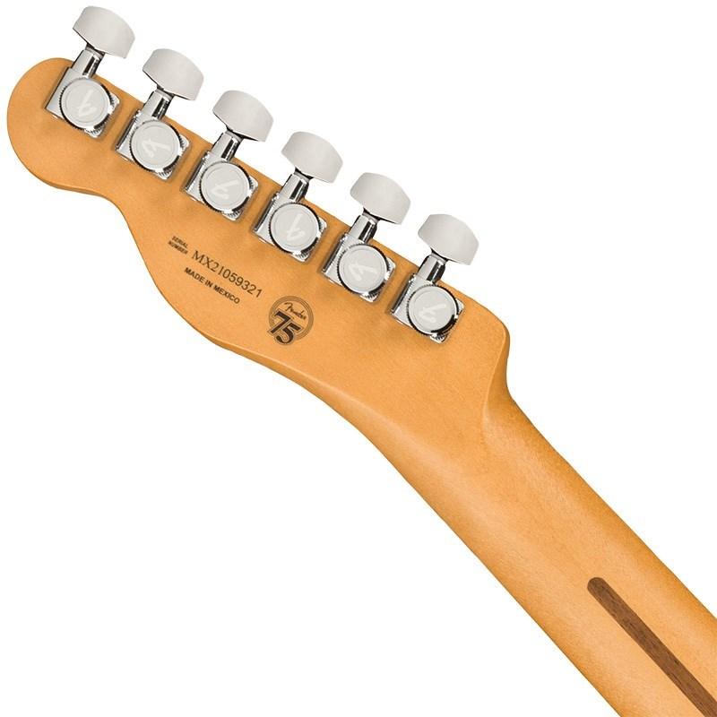 Fender MEX Player Plus Nashville Telecaster (Butterscotch Blonde/Maple) 【キズあり特価】｜ikebe｜06