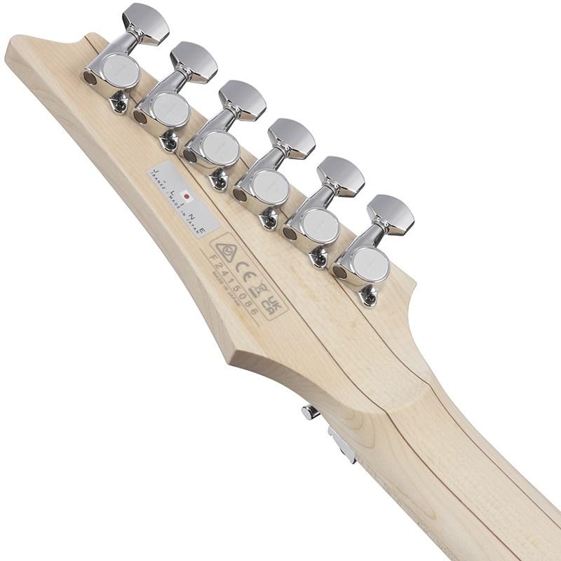 Ibanez J-LINE RG6HSHMTR-BGY (Blue Gray) [SPOT MODEL] | Ibanez | 05