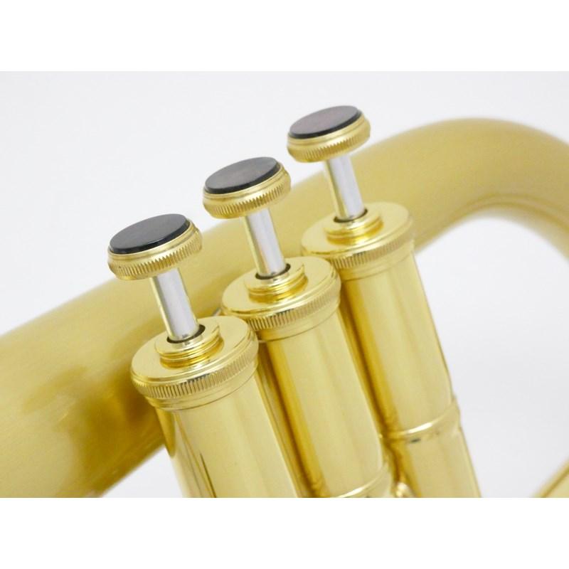 CAROL BRASS 【先取り大特価セール】キャロルブラス / N6200 SATIN-BELL 【Bb フリューゲル ホルン】【出荷前調整で安心】 |  | 04