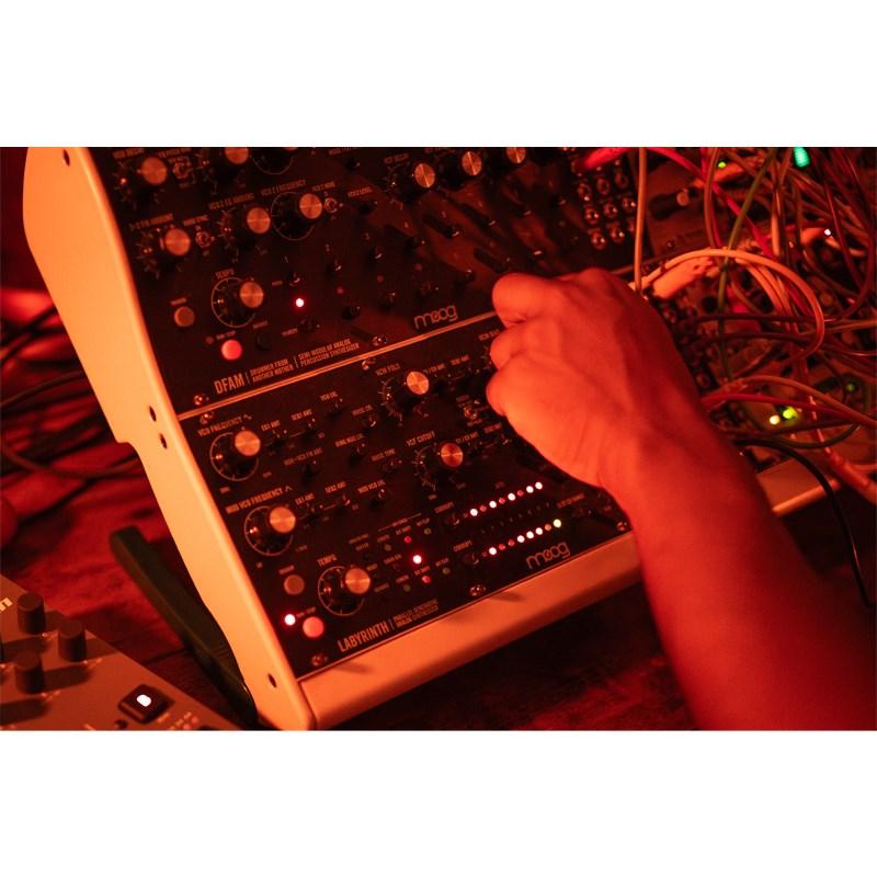 moog LABYRINTH アナログシンセサイザー moog Labyrinth ラビリンス アナログシンセサイザー セミ