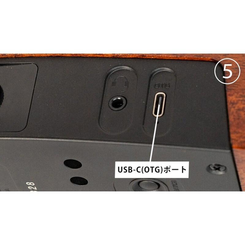 NATASHA NBSG Bass Fretless 【countdownセール】 |  | 09