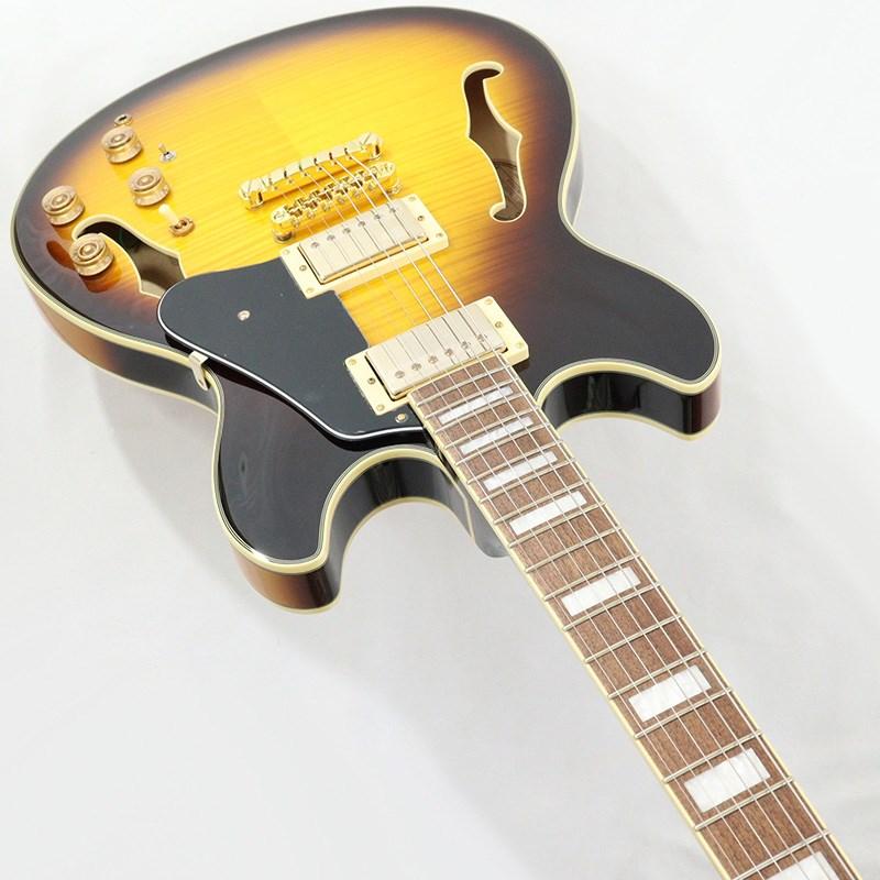 Ibanez（アイバニーズ） Ibanez JSM10EM-TTB (Two-tone Burst) [John