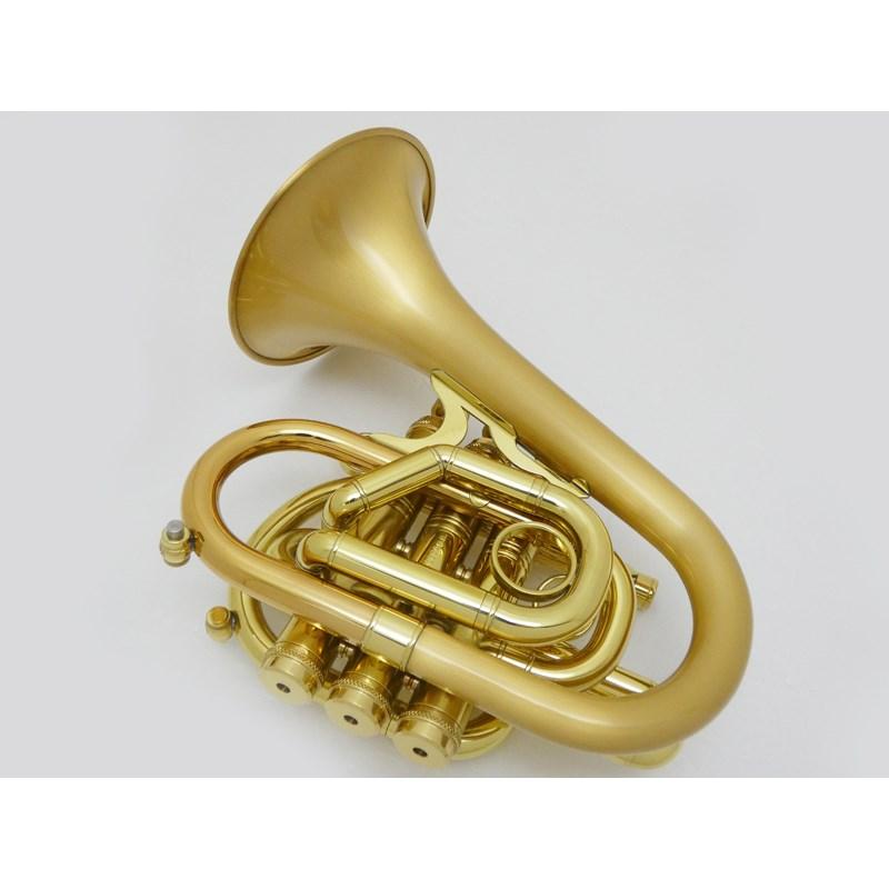 CAROL BRASS キャロルブラス / N7000 SATIN-BELL GB (Dizzy) 【Bb