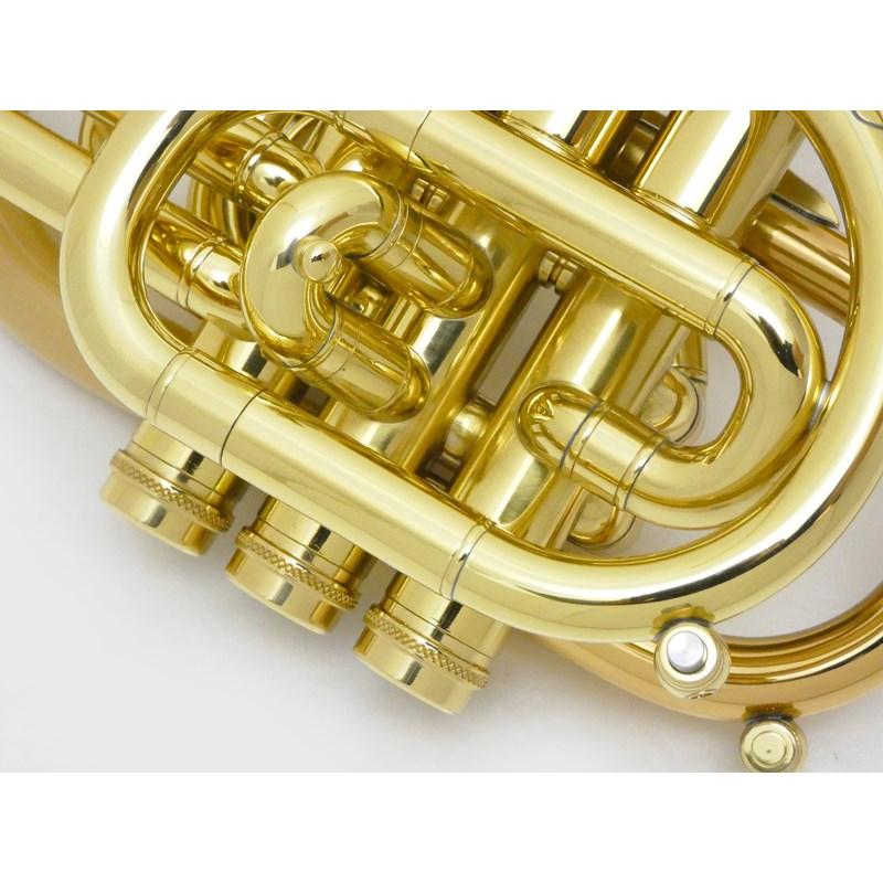 CAROL BRASS キャロルブラス / N7000 SATIN-BELL GB (Dizzy) 【Bb