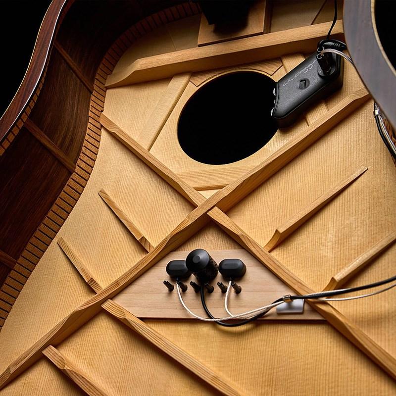 L.R.Baggs HiFi Duet |  | 02