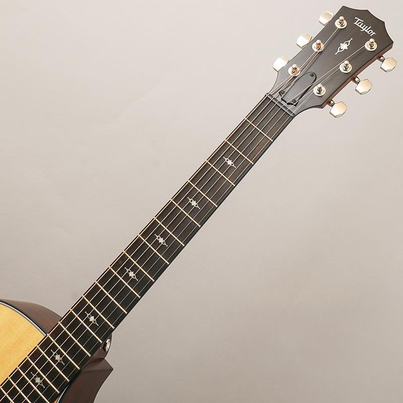 TAYLOR 314c テイラー | Taylor | 09