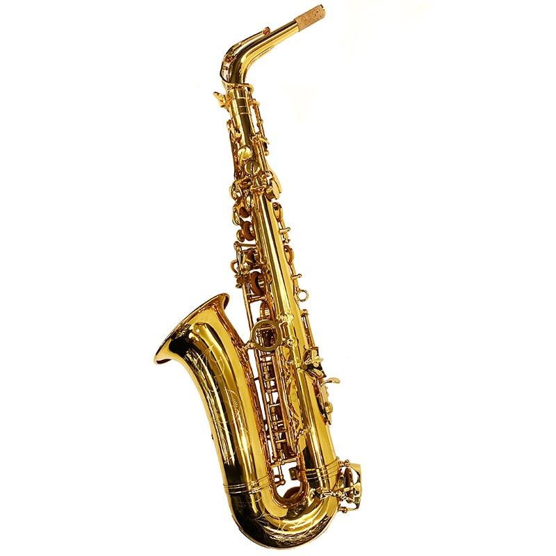 Brasspire Unicorn アルトサックス ブラスパイアー・ユニコーン BPA1-GL 【調整&セットアップ後出荷】【5年間キーバランス調整無料】 |  | 01