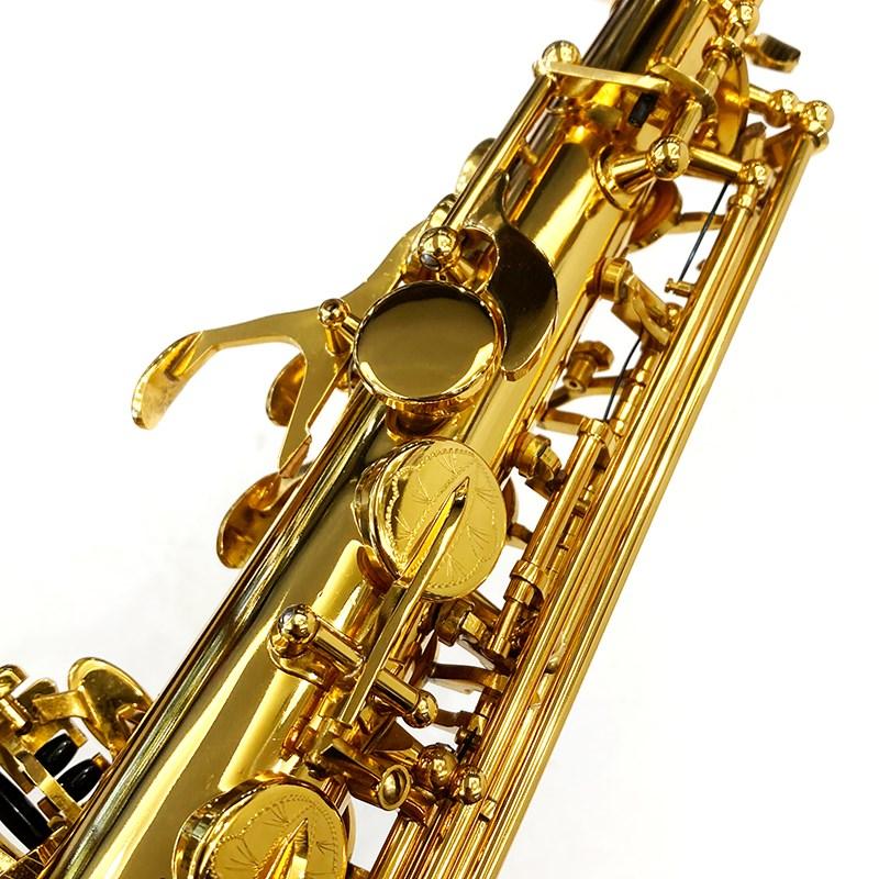 Brasspire Unicorn アルトサックス ブラスパイアー・ユニコーン BPA1-GL 【調整&セットアップ後出荷】【5年間キーバランス調整無料】 |  | 05