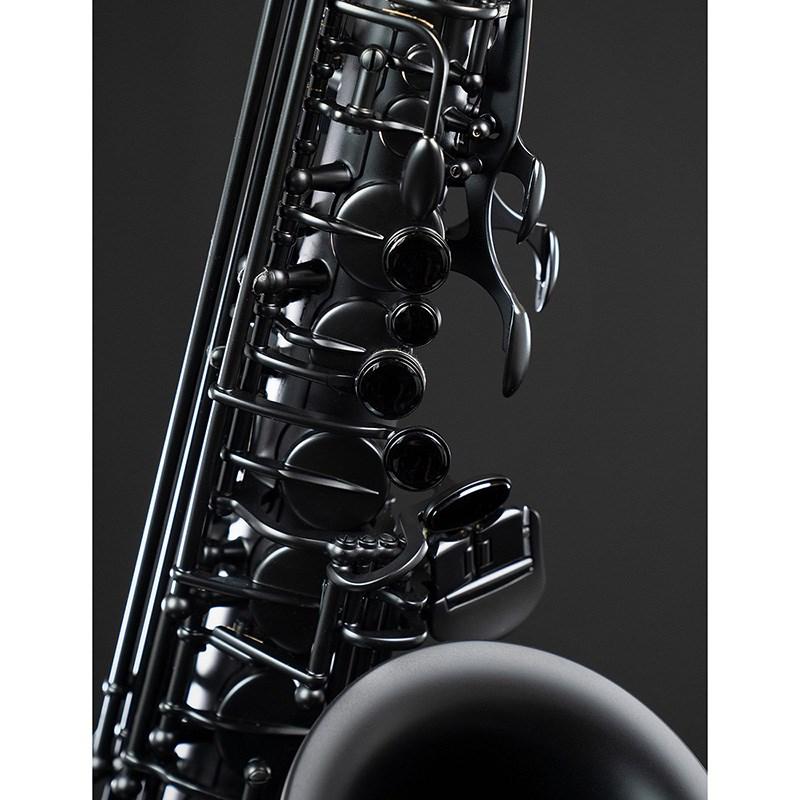 SELMER（セルマー） Selmer Paris 【限定モデル】テナーサックス