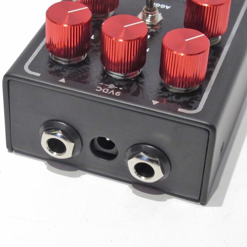 REVV G4 Anniversary（レヴ） : イケベ楽器店 - 通販 - Yahoo!ショッピング