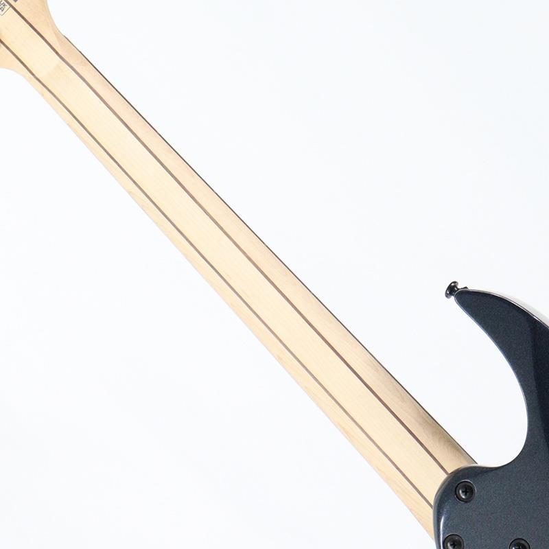 Ibanez RGR6BSP-IPT (Iron Pewter) [Limited Model] | Ibanez | 06