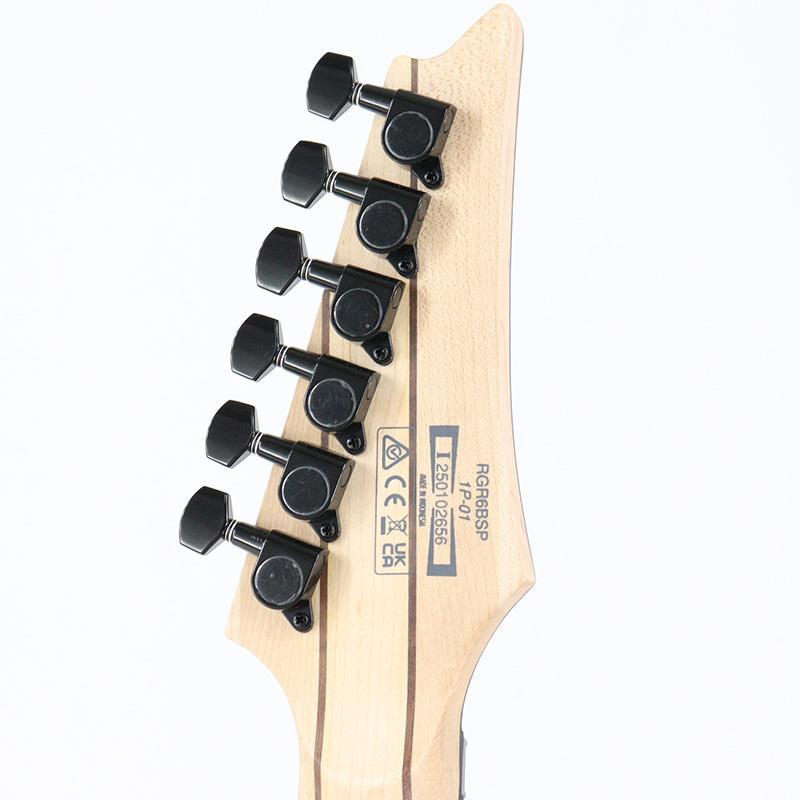 Ibanez RGR6BSP-IPT (Iron Pewter) [Limited Model] | Ibanez | 08