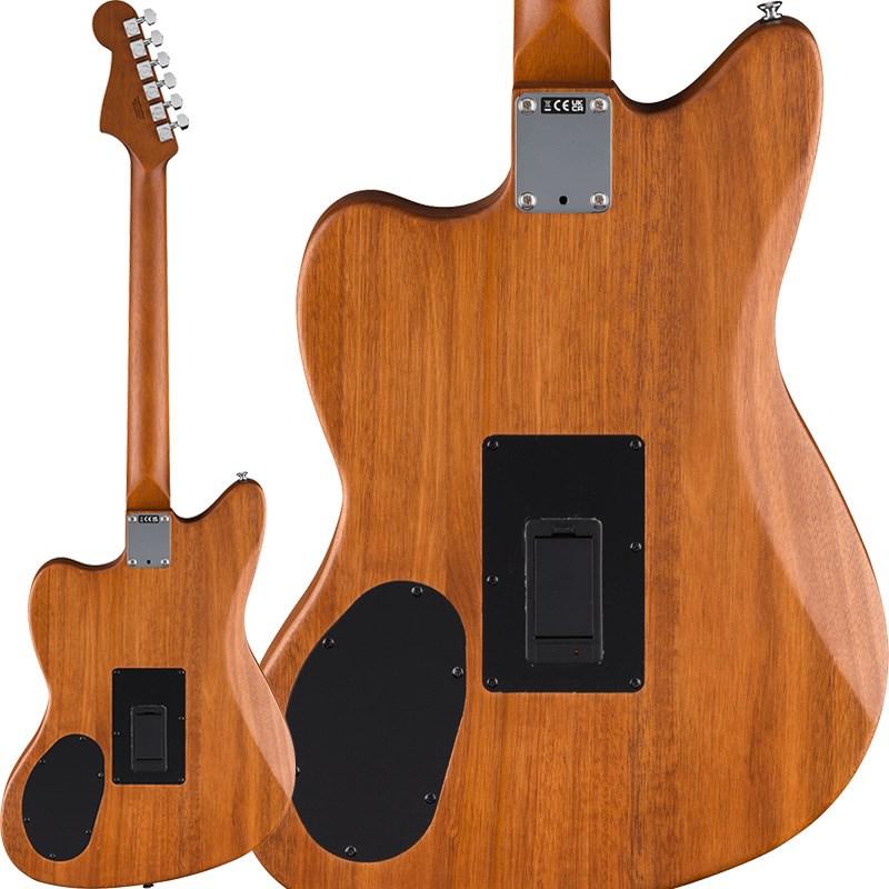 Fender（フェンダー） Fender Acoustics Acoustasonic Standard