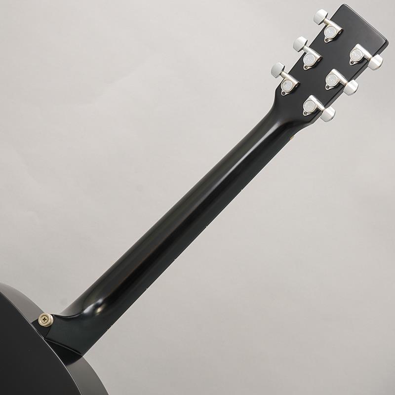 Martin D-16GT　中古品