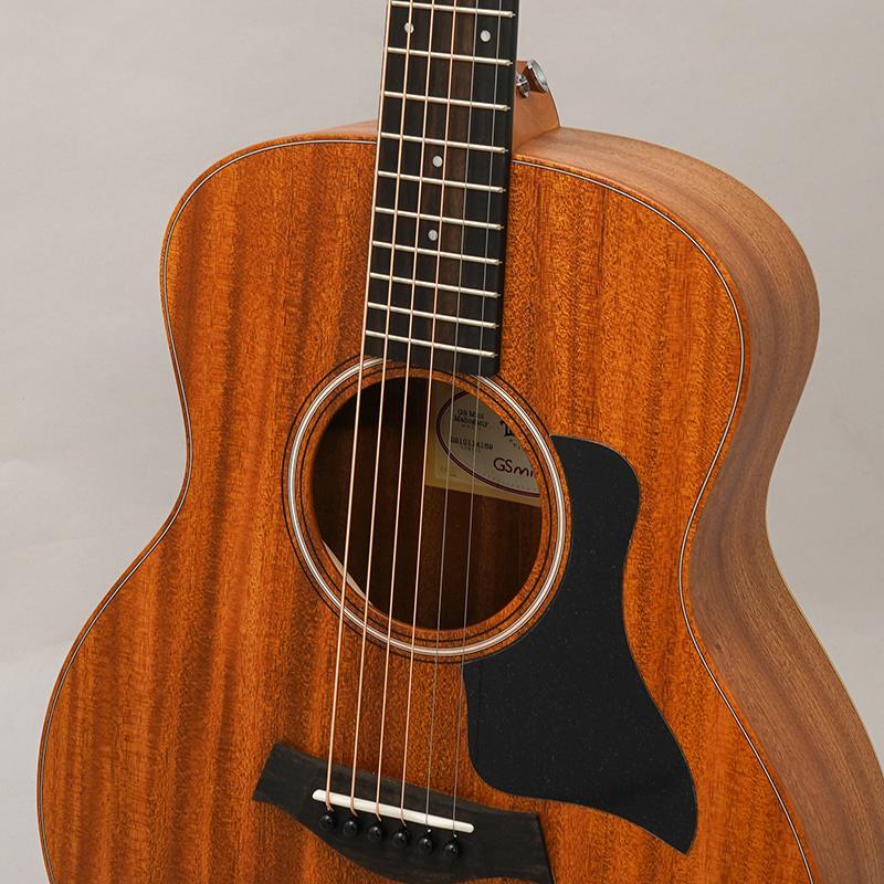 TAYLOR GS Mini Mahogany テイラー | Taylor | 06