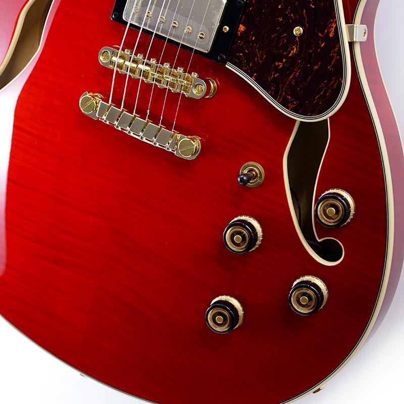 Ibanez（アイバニーズ） Ibanez Artcore Expressionist AS93FM-TCD