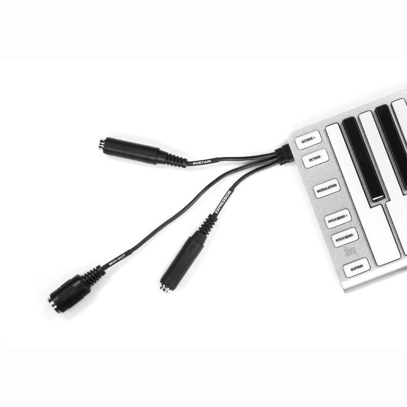 ESI Xkey 37 (MIDIコントローラー)(イーエスアイ)(37鍵盤)_6