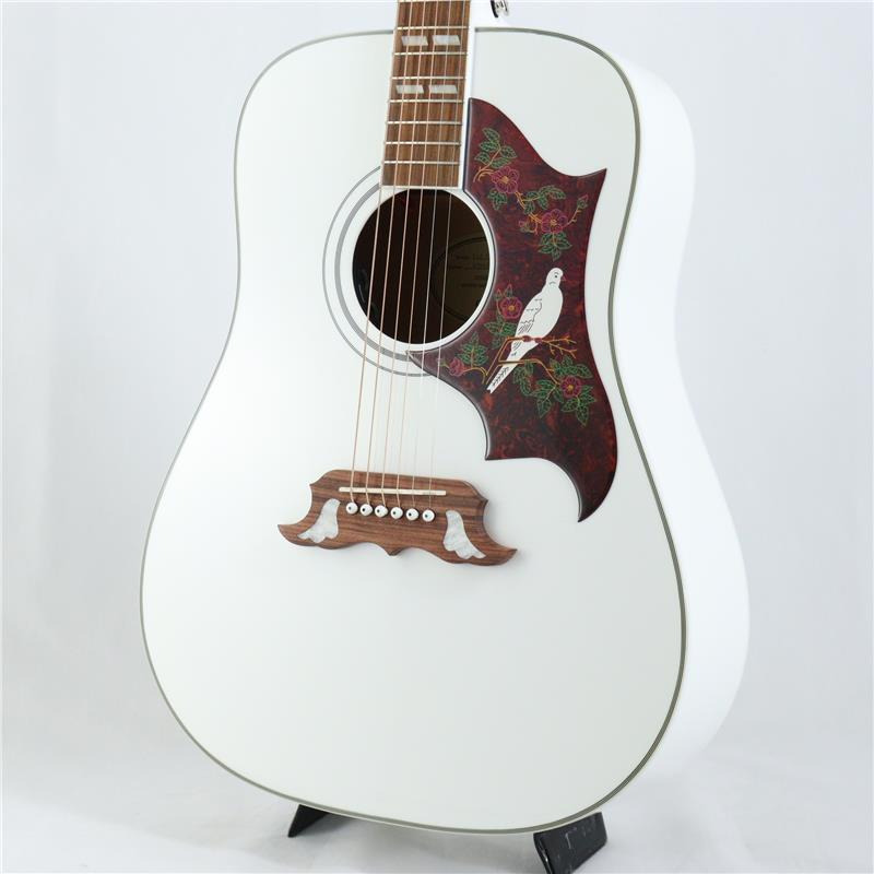 美品◎Epiphone アコースティックギター Dove LTD EDITION Epiphone 【数量限定エピフォン・アクセサリーパックプレゼント
