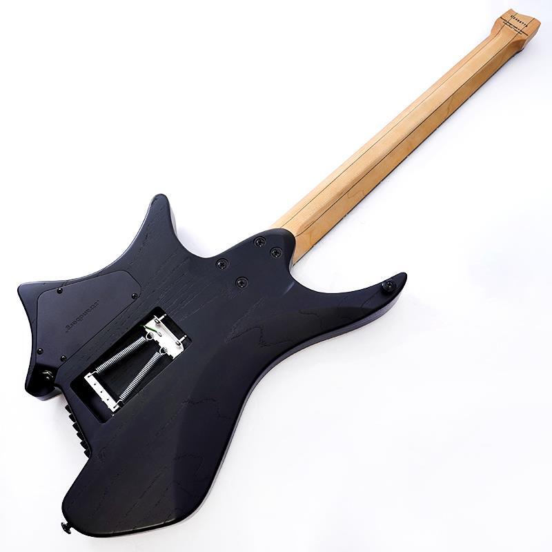 Strandberg Boden Prog NX 6 (Charcoal Black) |  | 02