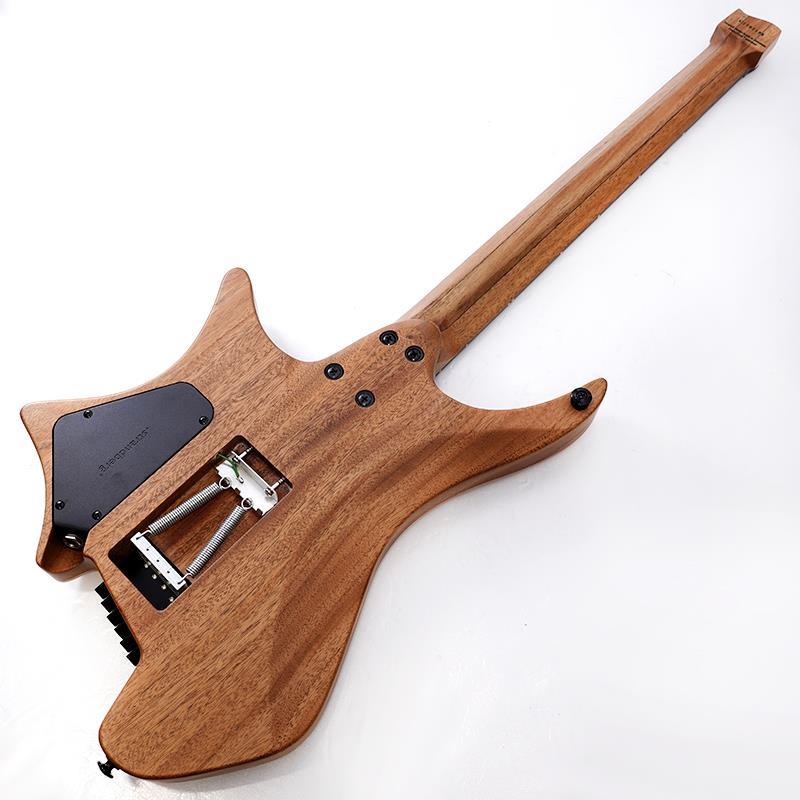 Strandberg Boden Prog NX 6 Plini Edition : イケベ楽器店 - 通販
