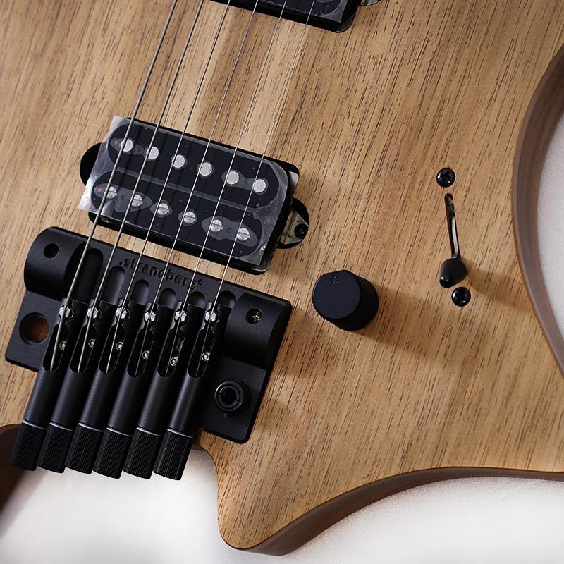 Strandberg Boden Prog NX 6 Plini Edition : イケベ楽器店 - 通販