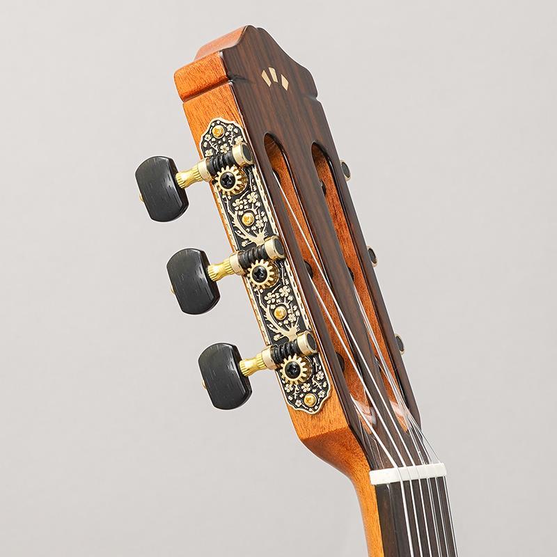 Cordoba Iberia Series GK Studio コルドバ : イケベ楽器店 - 通販