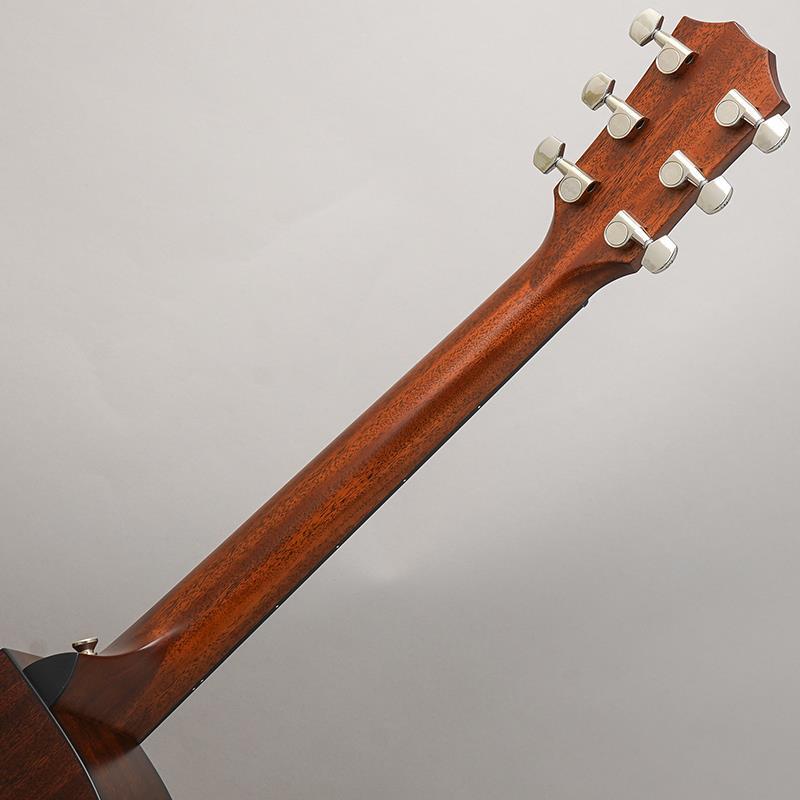TAYLOR 312c テイラーの画像
