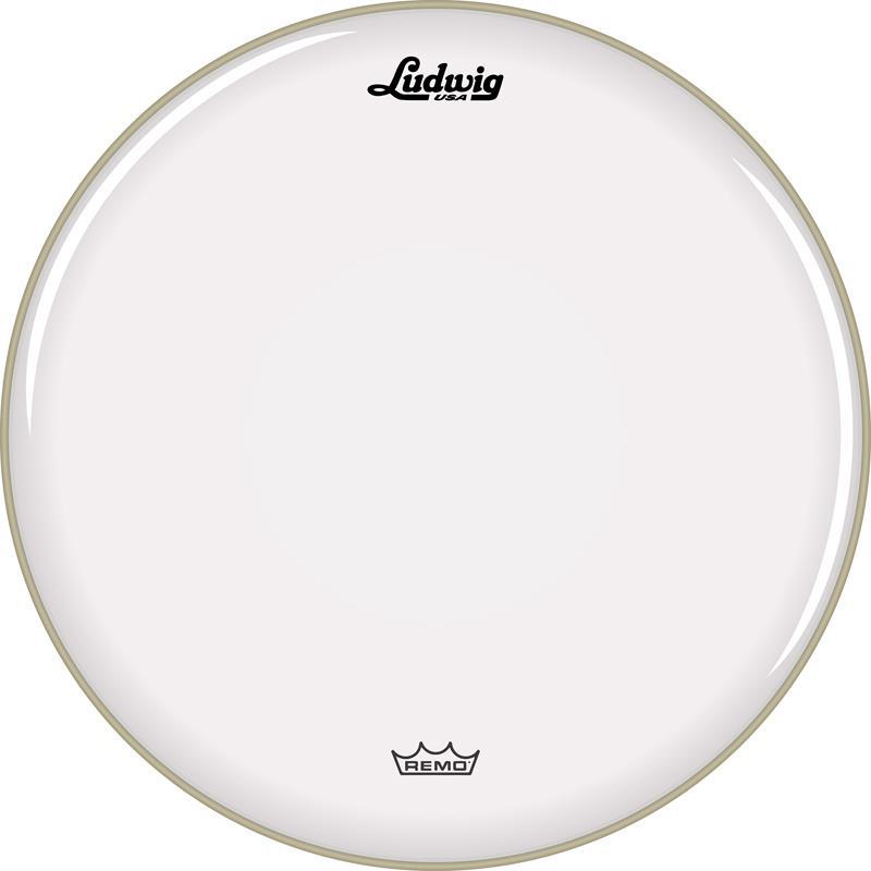 Ludwig LRSA0314 [Snare Side Clear Ambassador 14''] | Ludwig