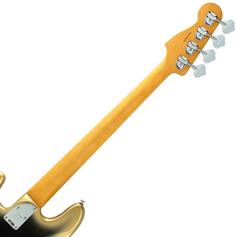 Fender（フェンダー） Fender USA Limited Edition American