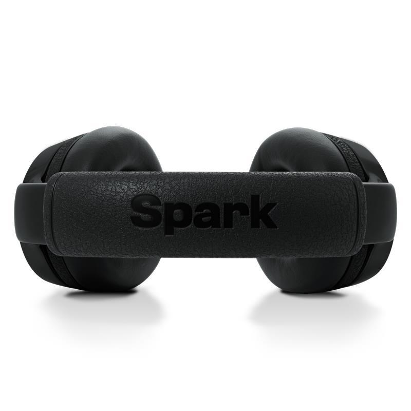 Positive Grid Spark NEO Core (ポジティヴ グリッド） |  | 04