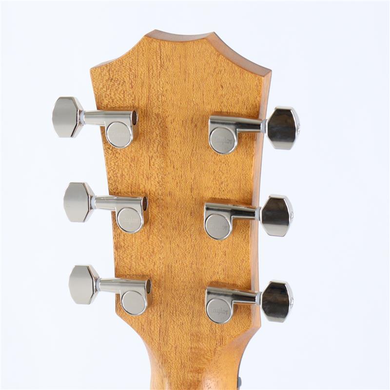 TAYLOR GT Urban Ash/Spruce テイラー | Taylor | 06