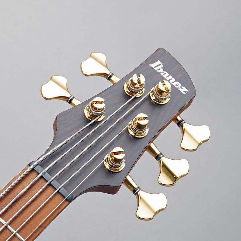 Ibanez Prestige SR4505-DST | Ibanez | 06