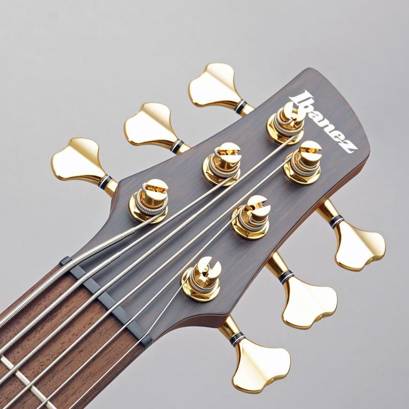 Ibanez Prestige SR5506-MHF | Ibanez | 06