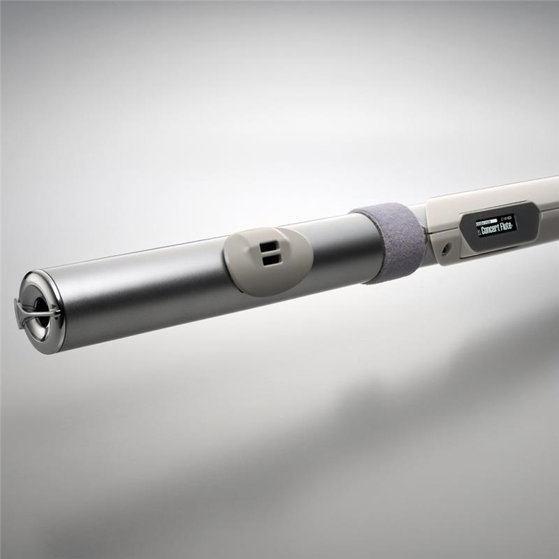 管楽器・吹奏楽器 Roland Aerophone Brisa ローランド（Roland） ローランド / Aerophone Brisa デジタル管楽器