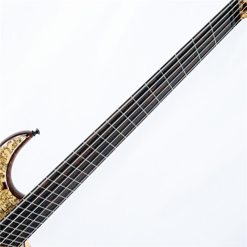 DINGWALL Prima Artist 5strings Spalted Tamarind Top |  | 02